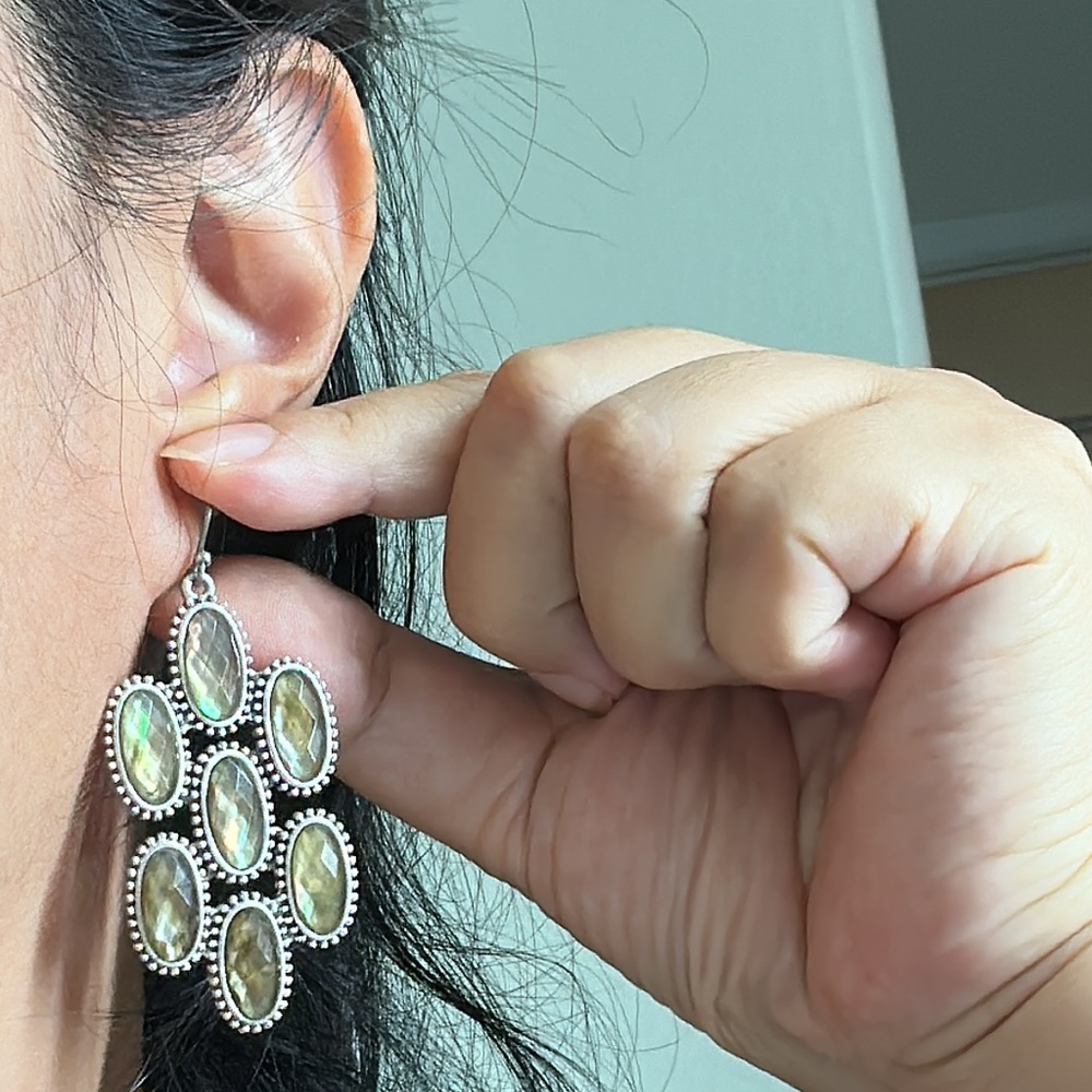 Abalone Shell Based Statement Earrings - image 2